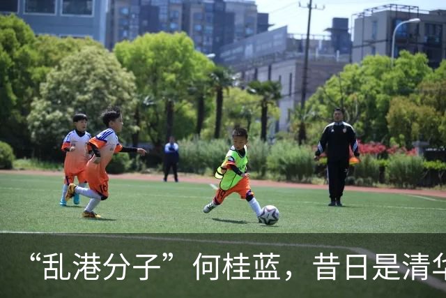 “乱港分子”何桂蓝，昔日是清华才女，如今沦为阶下囚，下场凄惨