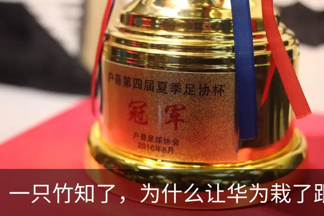 一只竹知了，为什么让华为栽了跟头？