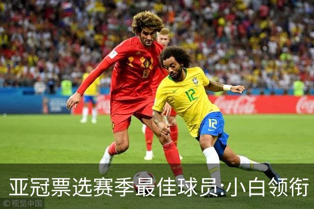亚冠票选赛季最佳球员:小白领衔 奥古比埃拉上榜