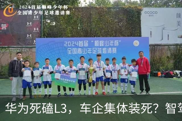 华为死磕L3，车企集体装死？智驾圈这场豪赌，输赢就在明年！