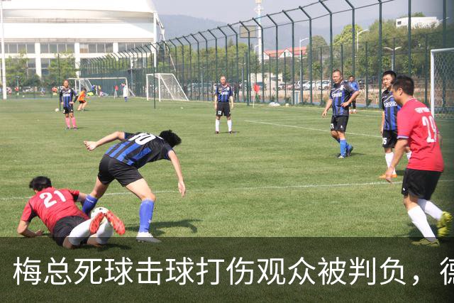 梅总死球击球打伤观众被判负，德约称能感同身受相信其非故意为之