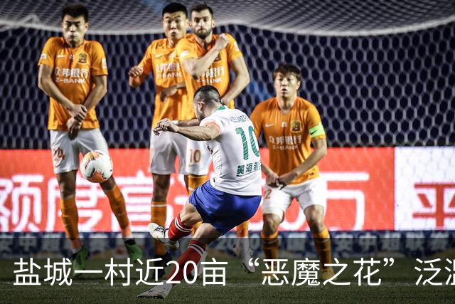 盐城一村近20亩“恶魔之花”泛滥成灾，这独特的风景为何无人管？