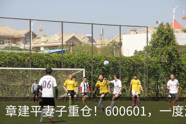章建平妻子重仓！600601，一度涨停