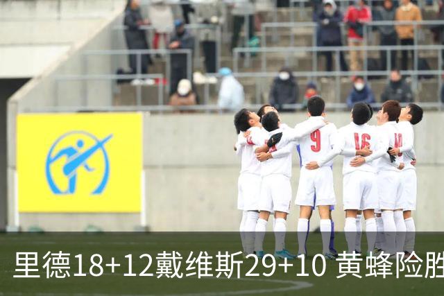 里德18+12戴维斯29+10 黄蜂险胜奇才