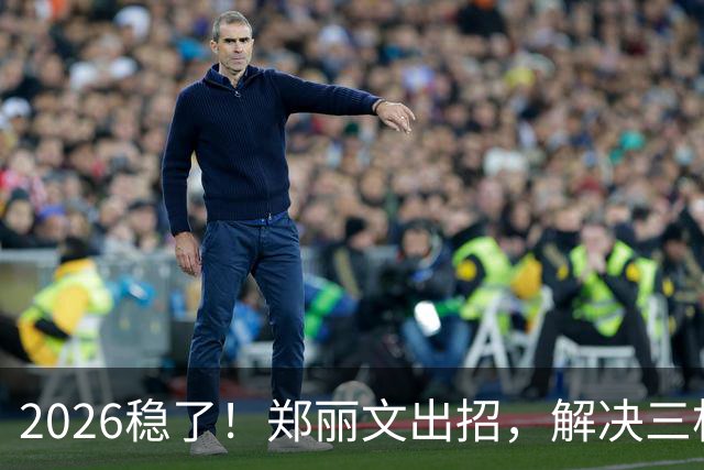 2026稳了！郑丽文出招，解决三根搅屎棍：侯友宜、卢秀燕、赵少康