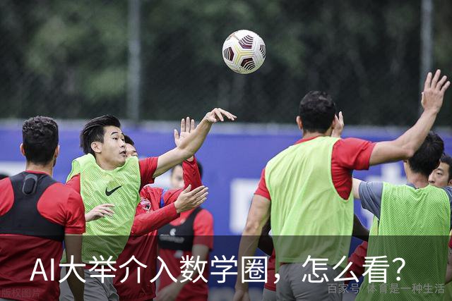 AI大举介入数学圈，怎么看？